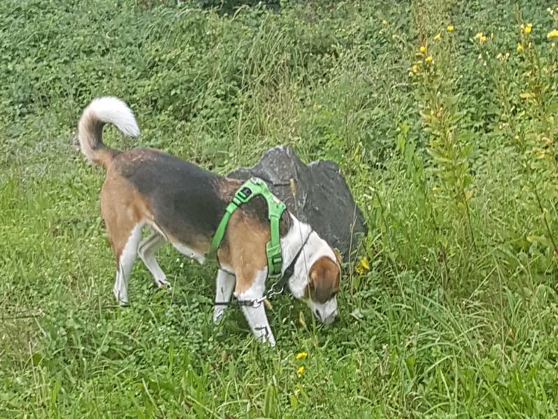 Trainingstrail Salzburger Ländle 30.08.020