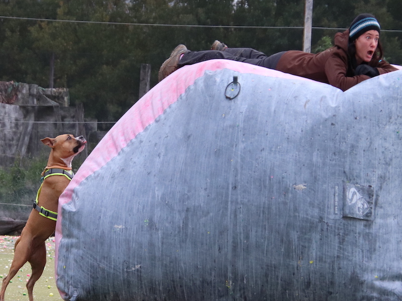 Paintball