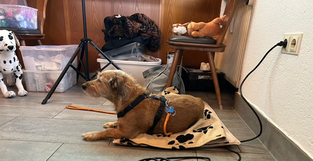 B78F4ACC-D4D5-48B8-B0D0-83537ABB7801