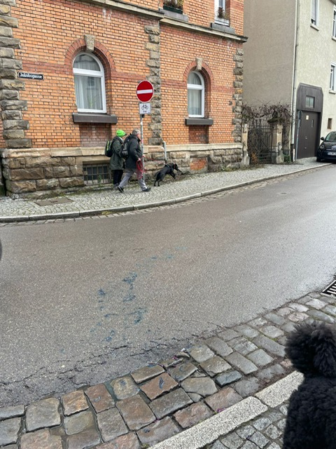 3a839feb-0daa-41d1-b1a0-073a85518e36