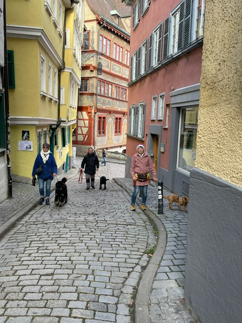 6a4dd824-edc9-4824-9d7f-5eee3873e94f