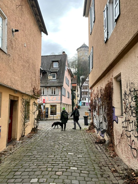 bc5266ab-3157-44d4-8e37-9ccebe6c08d3