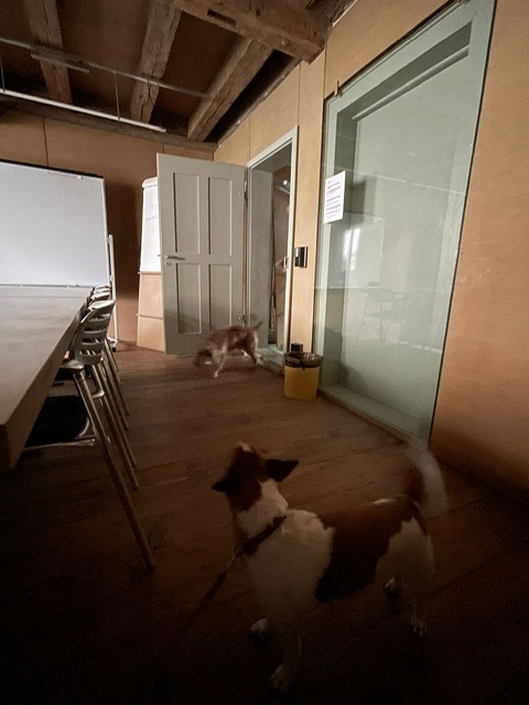 86a82407-9fea-4d1b-9c54-13493cbf44f9