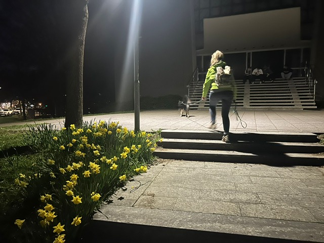 33e2a612-feac-4ebe-952b-8eee40d5bed7