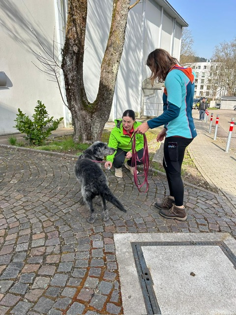 37958cc0-64de-485b-8f41-8b01a2590387