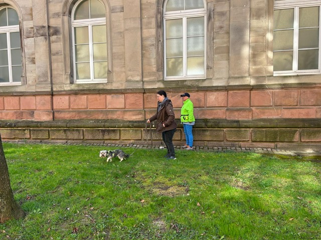 8081d7ae-cd8a-466f-b830-ab8b433b5e2f