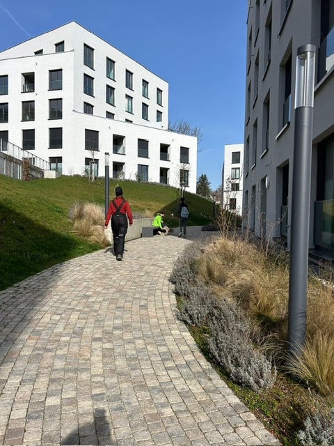 82497288-5786-499f-bc3c-939ac490ef29