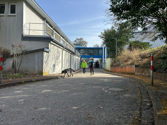 8cfe9e8b-077f-4d0e-be63-c0fb5f7fc83c