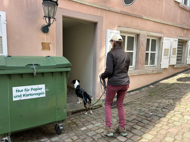 9b852af5-f44a-48a9-a835-bf947ad3d80d