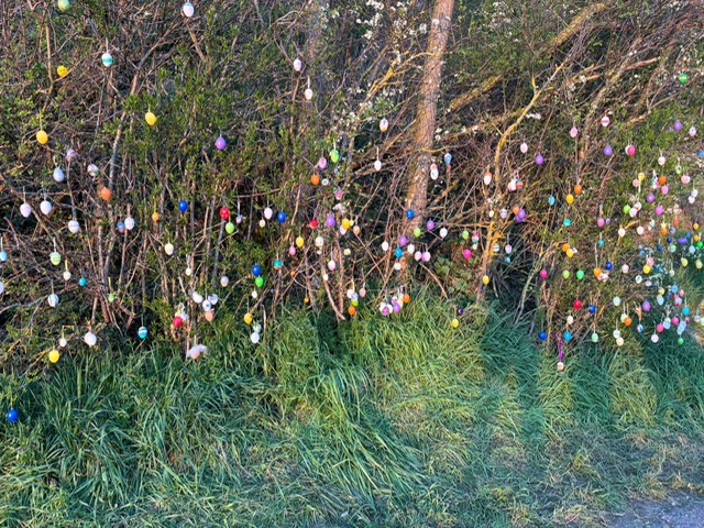 A1E5909F-DFD0-4049-BE58-65505C7591F8