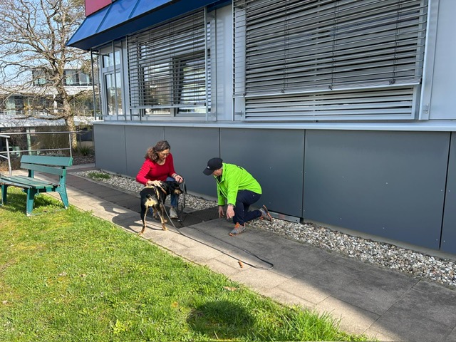 a52559a9-f9fb-445c-9831-fd6bea4873aa