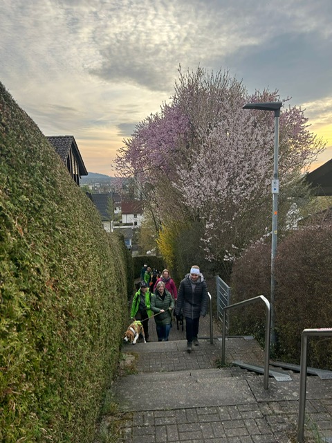 a9eb4877-cccb-46c1-84ea-5e220e318dcb