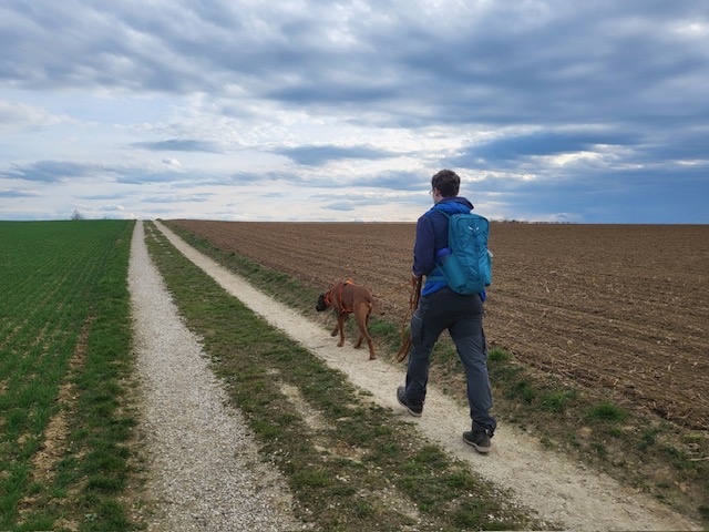 af61d333-bc5f-49e8-97f0-391819529e31