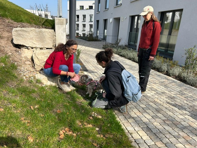 bc07f7c8-e112-4375-9c9e-601ee67c2cc4