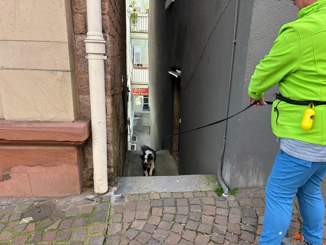 eb0bec59-75b0-4bfb-b8eb-74b3b0fead52