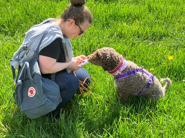 4eb9a1f6-b98c-4cf5-b4ae-818ee85a11b4