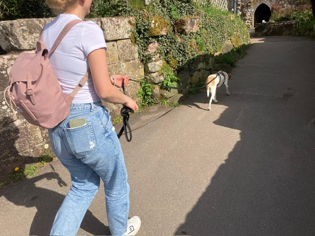 6509bd34-803b-497e-9b35-bd06c349b497